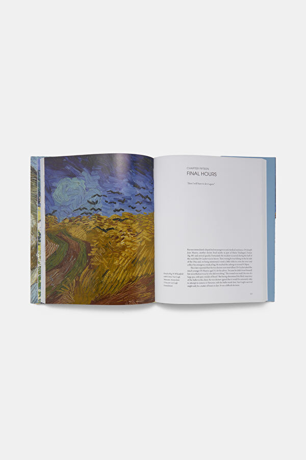 Van Gogh's Finale 6