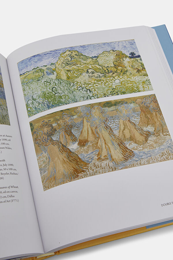 Van Gogh's Finale 9