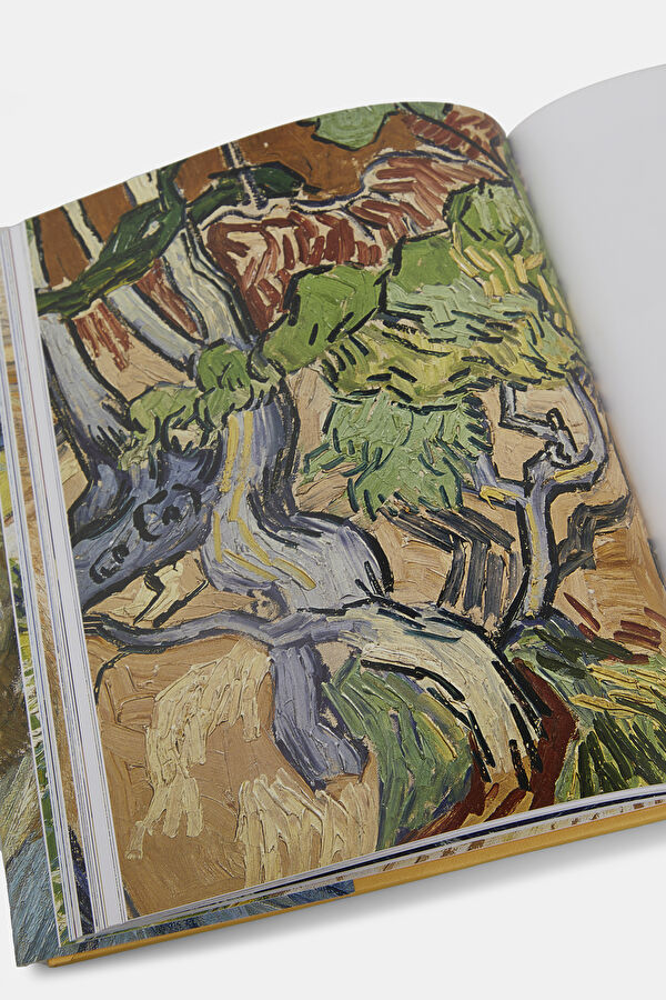 Van Gogh's Finale 10