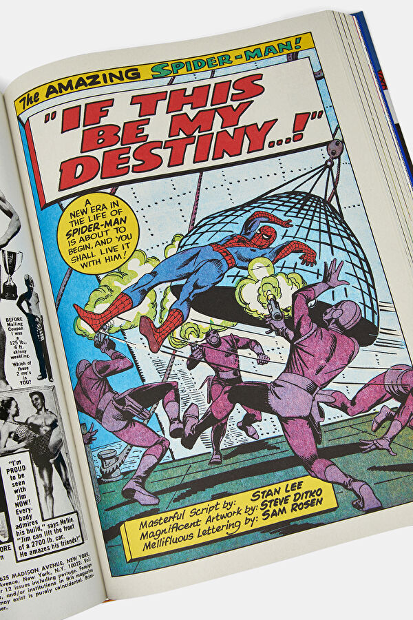 XL-Marvel, Spider-Man. Vol. 2. 1965-1966 10
