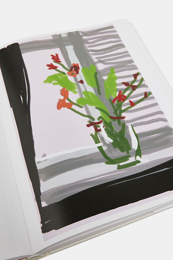 Multicolor Book 4
