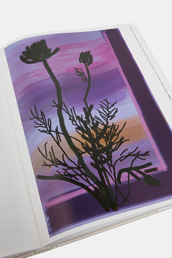 Multicolor Book 6