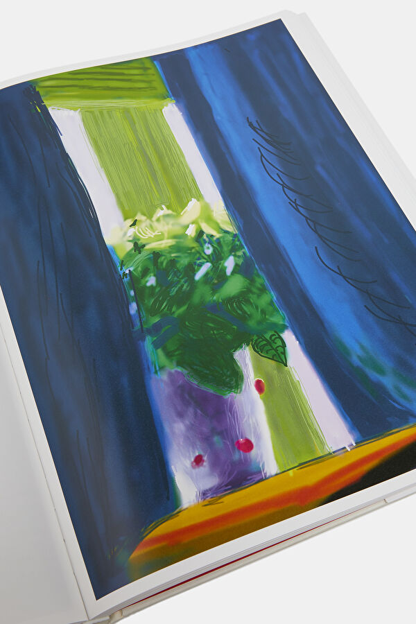 Multicolor Book 8