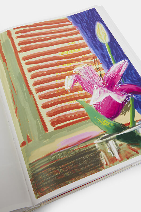 Multicolor Book 9