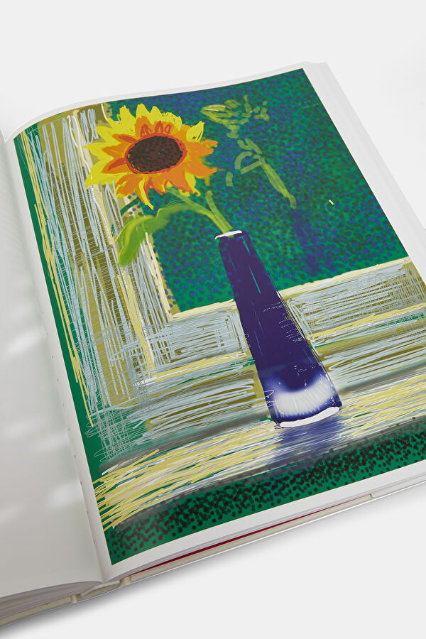Multicolor Book 10