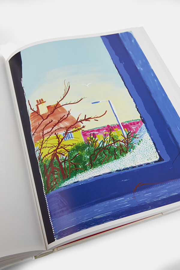 Multicolor Book 11