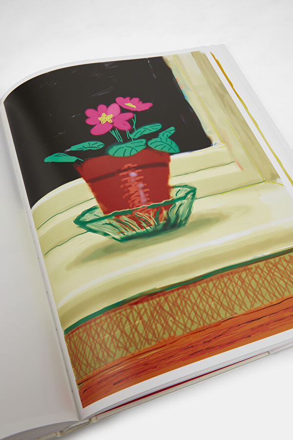 Multicolor Book 12