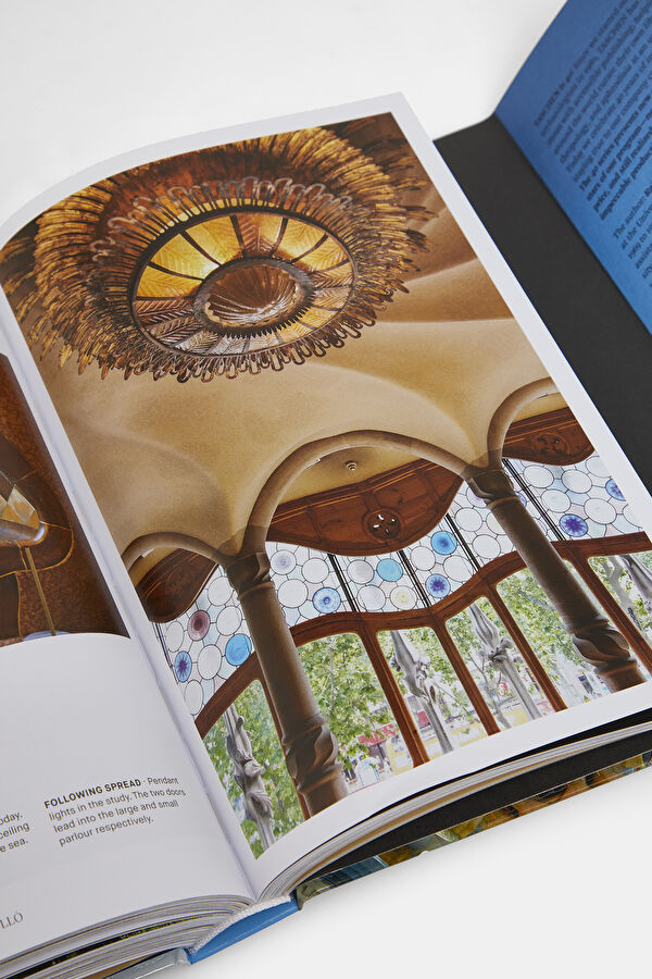 Gaudi 40th Edition 12