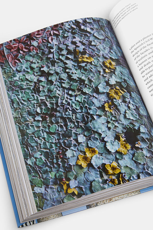 Gaudi 40th Edition 13