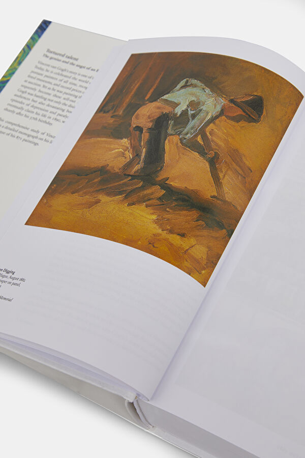 Van Gogh. The Complete Paintings 7