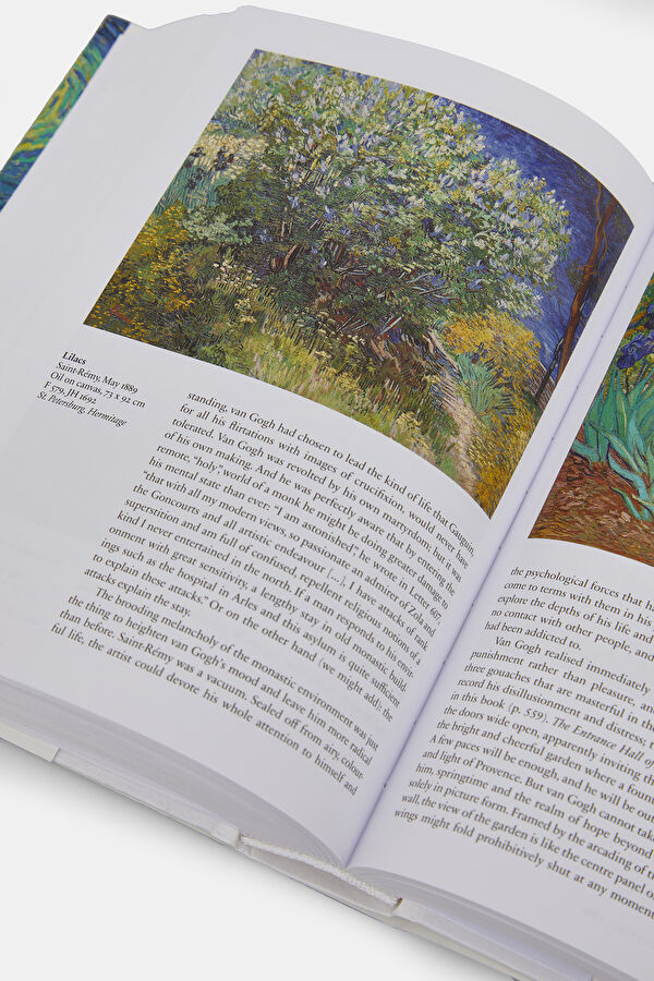 Van Gogh. The Complete Paintings 11