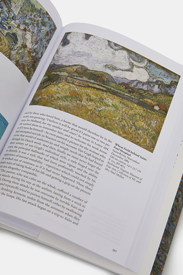 Van Gogh. The Complete Paintings 12