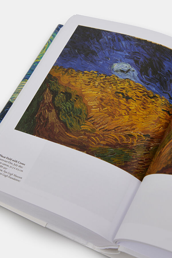 Van Gogh. The Complete Paintings 14