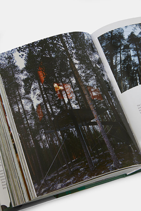 Multicolor Book 12