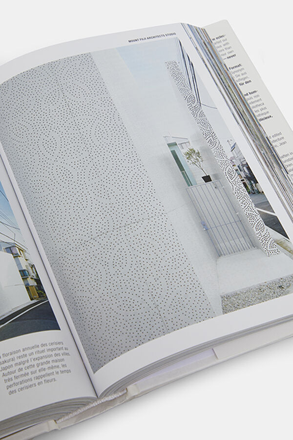 100 Contemporary Houses 16