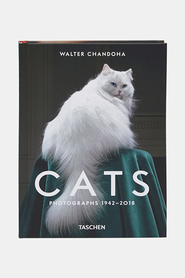 Walter Chandoha. Cats. Photographs 1942
