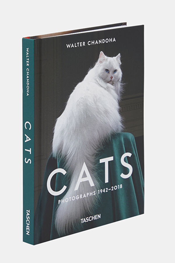 Walter Chandoha. Cats. Photographs 1942 2