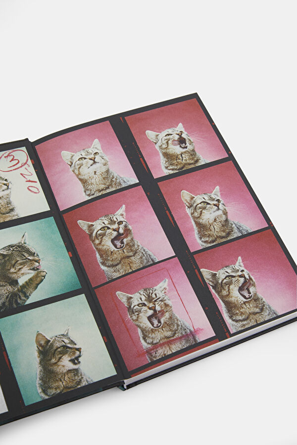 Walter Chandoha. Cats. Photographs 1942 4