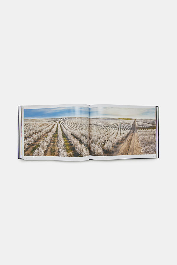 Food & Drink 7