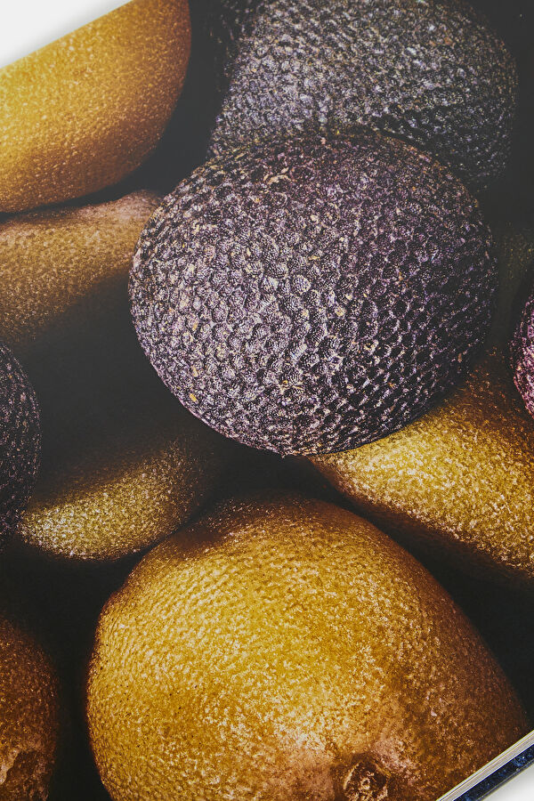 Food & Drink 11