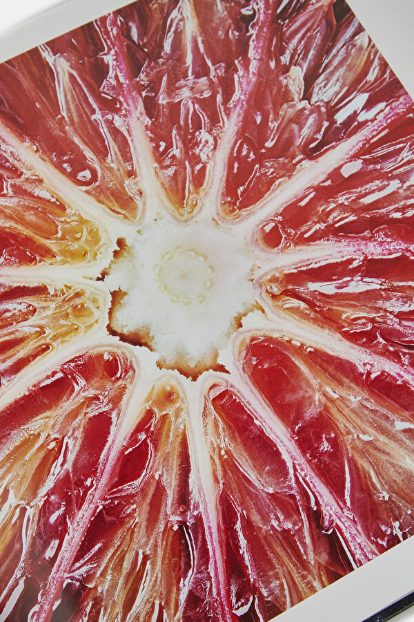 Food & Drink 14