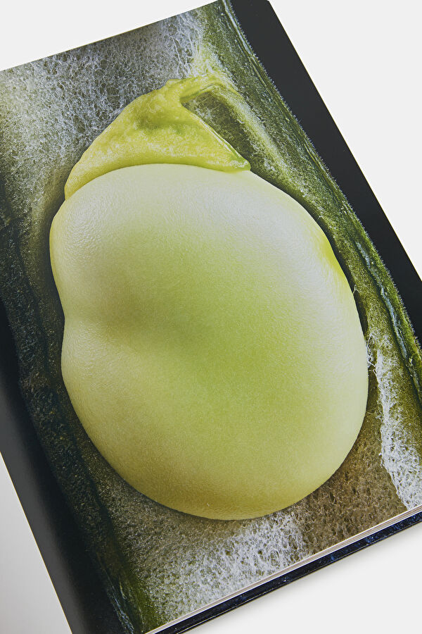 Food & Drink 16