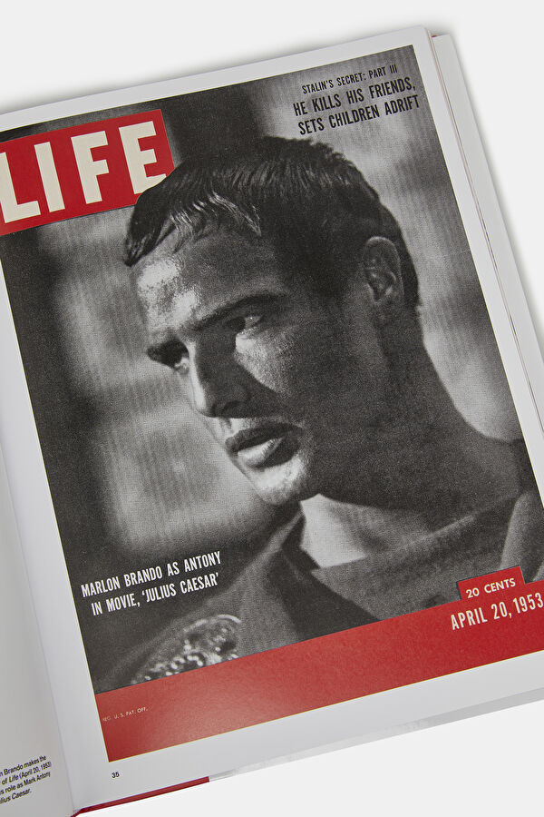 Marlon Brando 8