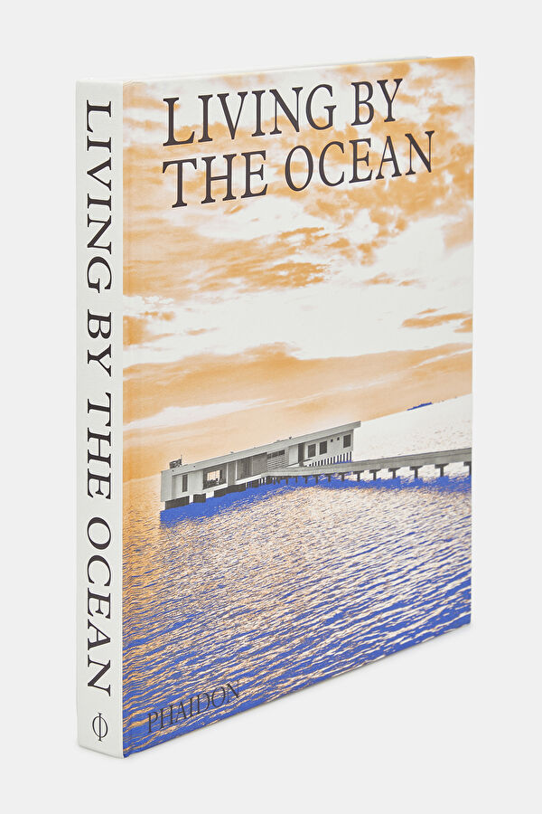 Livirg by the Ocean 2