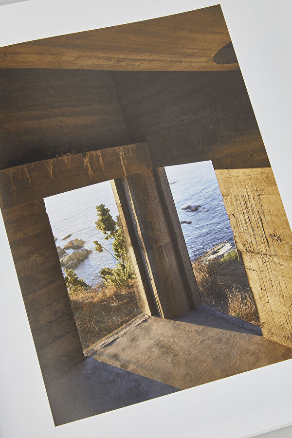 Livirg by the Ocean 11