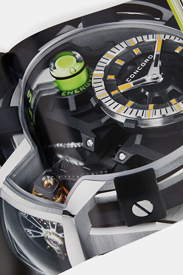 The World's Most Expensive Watches 11