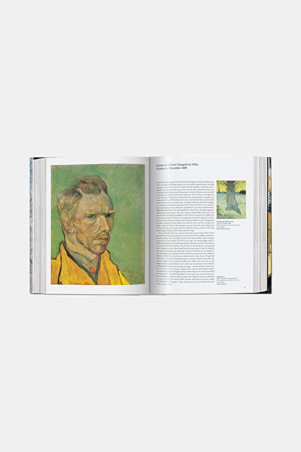 Van Gogh: The Complete Paintings 3