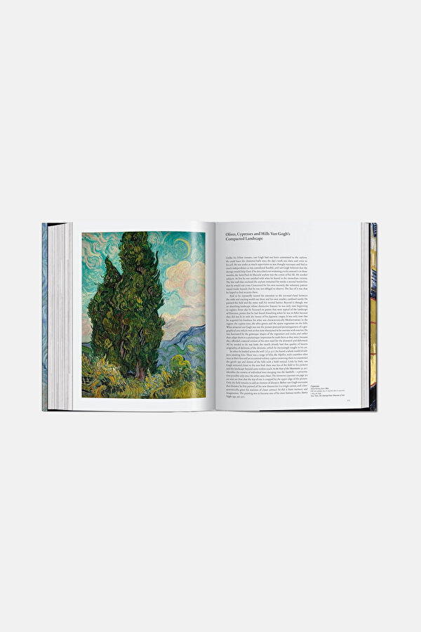Van Gogh: The Complete Paintings 4
