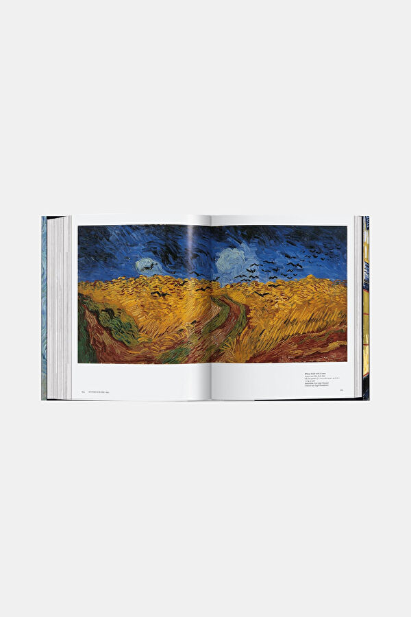 Van Gogh: The Complete Paintings 5