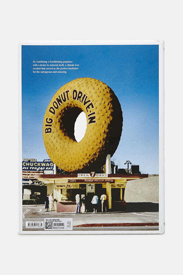 California Crazy. American Pop Architect 3