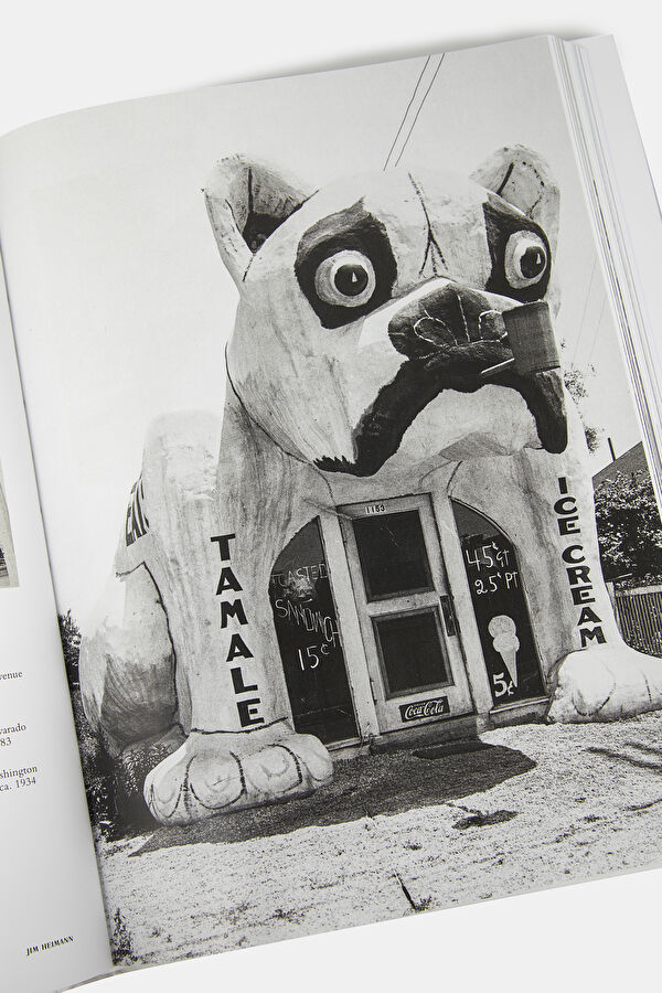 California Crazy. American Pop Architect 10