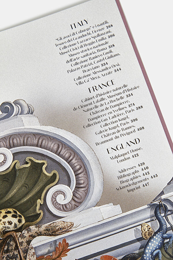Cabinet of Curiosities 40th Edition 5