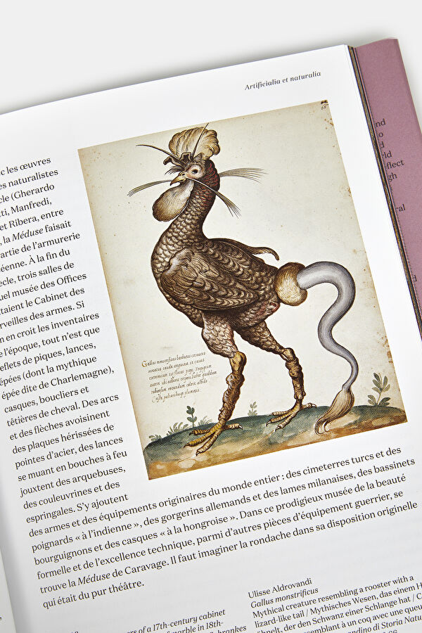 Cabinet of Curiosities 40th Edition 7