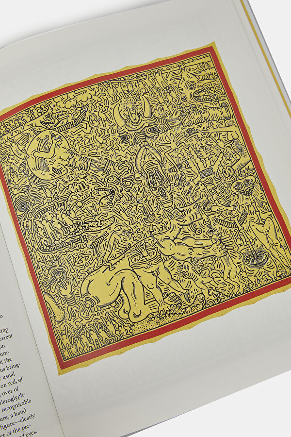 Multicolor Book 13