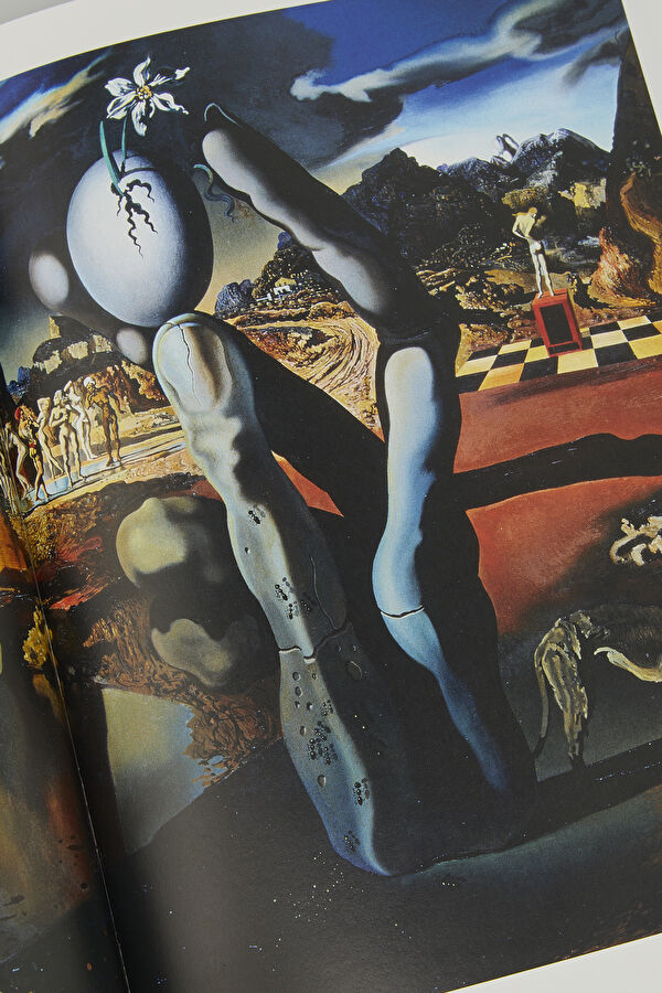 Dali 11