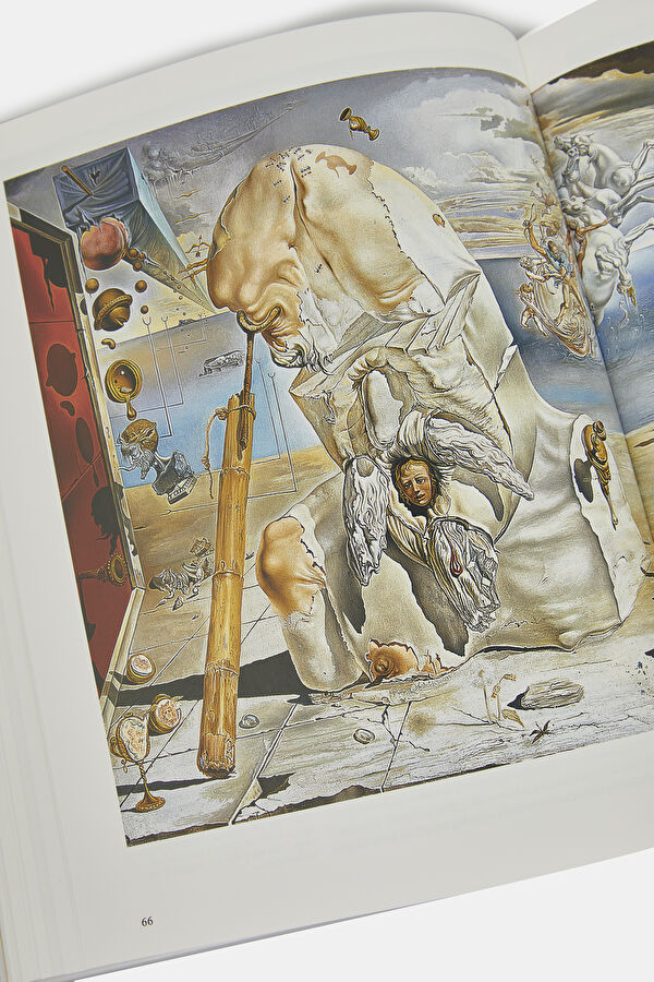 Dali 13