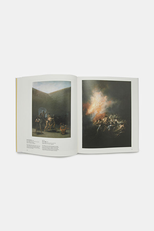 Goya 5