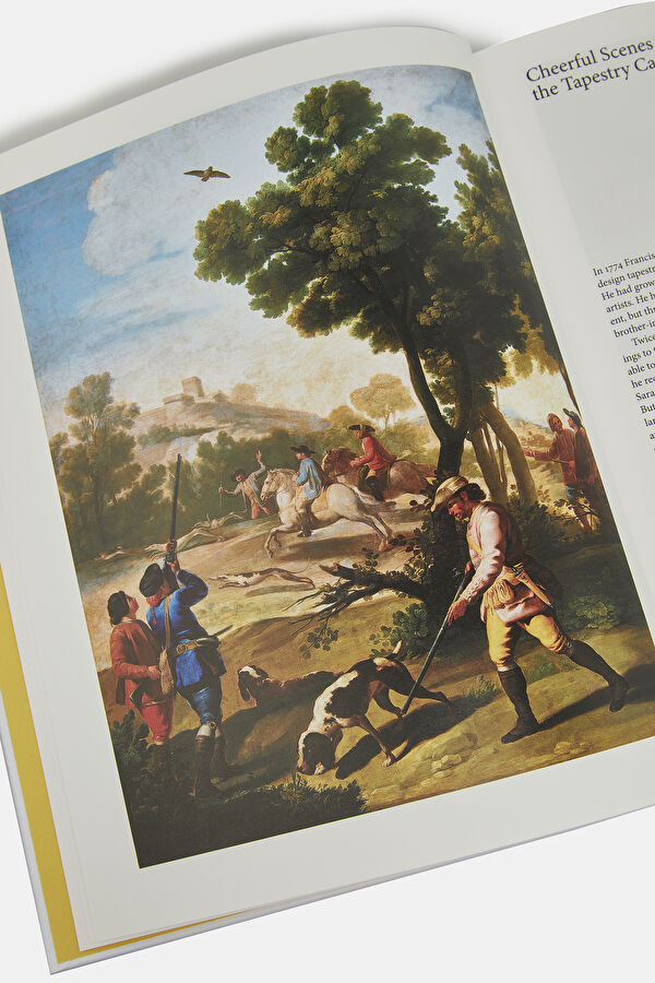 Goya 7