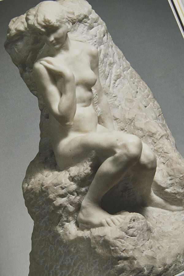 Rodin 11