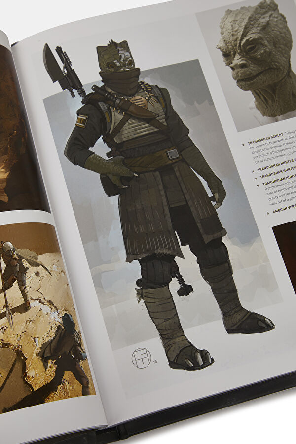 Star Wars Mandalorian 10