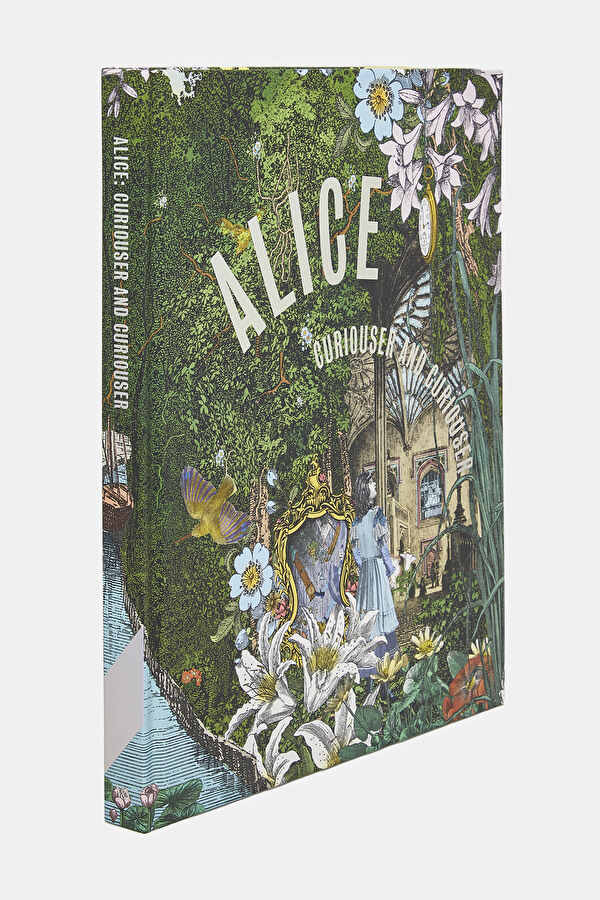 Alice Curiouser and Curiouser 2
