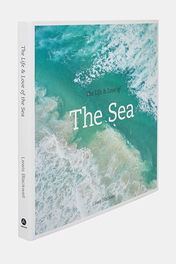 The Life and Love of the Sea 2