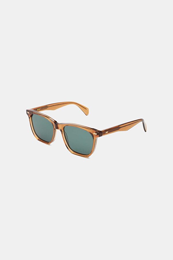Greyhound Sunglasses 2