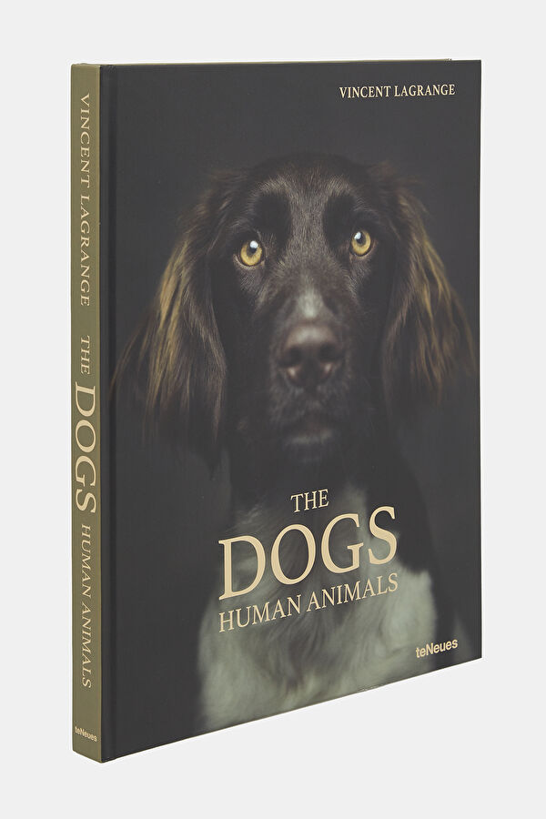 The Dogs 2