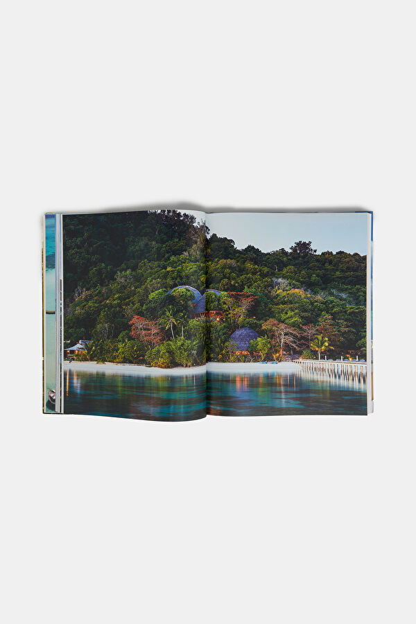 This Must be Paradise 6