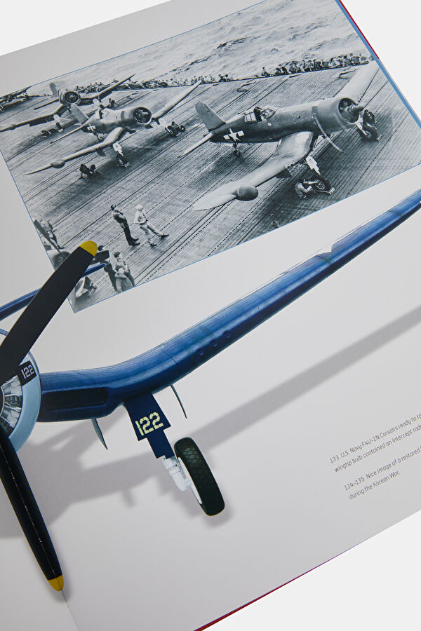 Combat Aircraft 8
